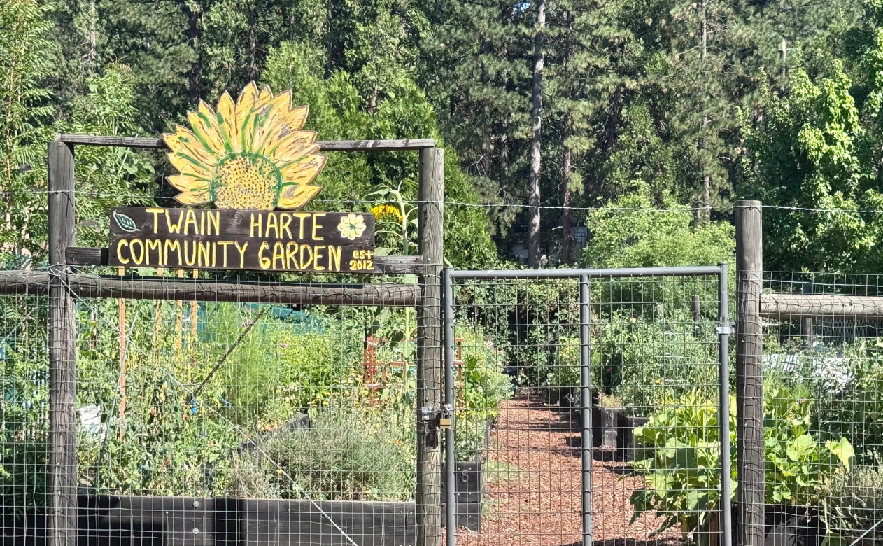 Twain Harte community garden near Pinnell's Carpet One Floor & Home